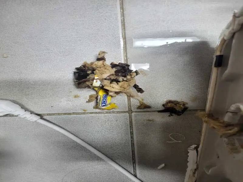 화성 배관 이물질 제거 사례 6